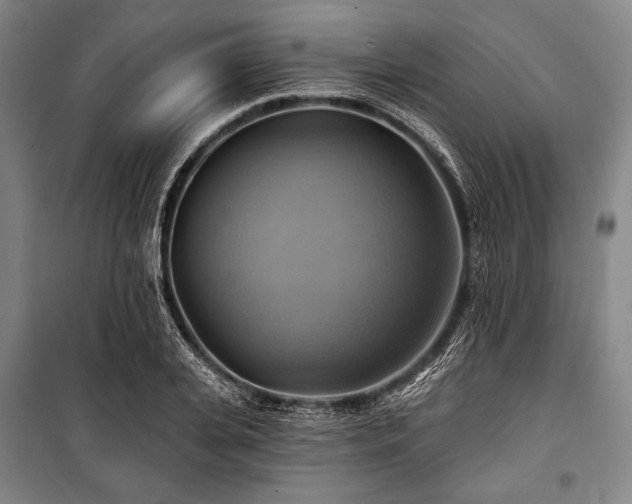 X0000101160935200806271006