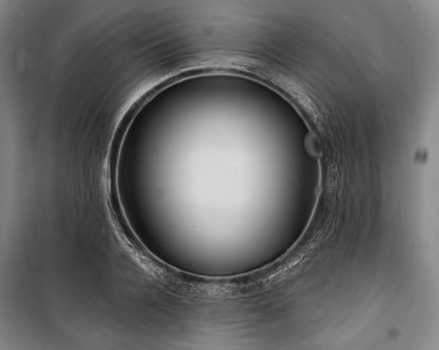 X0000101160936200806271006