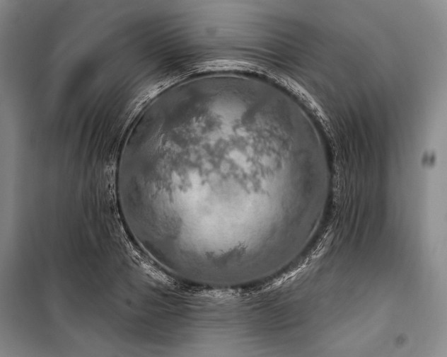 X0000101160937200806271006