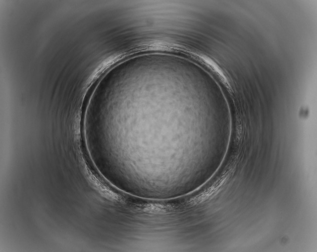 X0000101160938200806271006