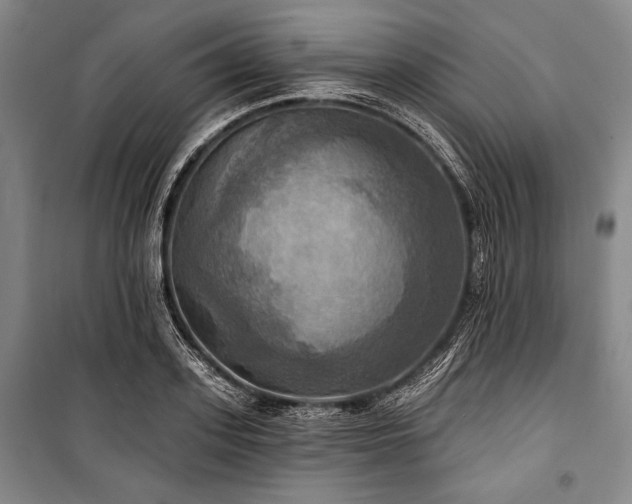 X0000101160939200806271006