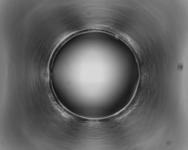 X0000101160940200806271006
