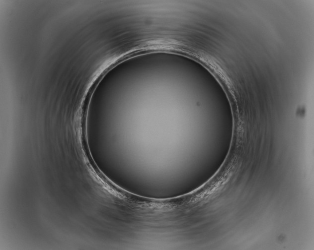 X0000101160941200806271006