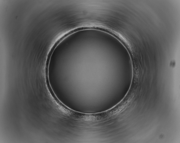 X0000101160943200806271006