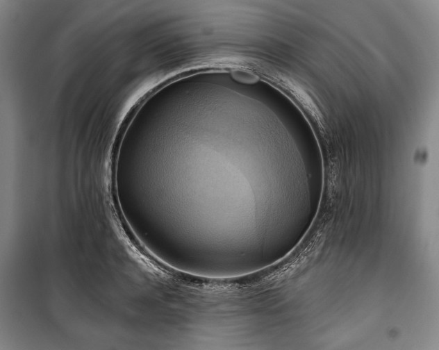 X0000101160944200806271006