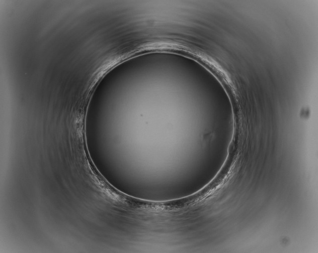X0000101160945200806271006