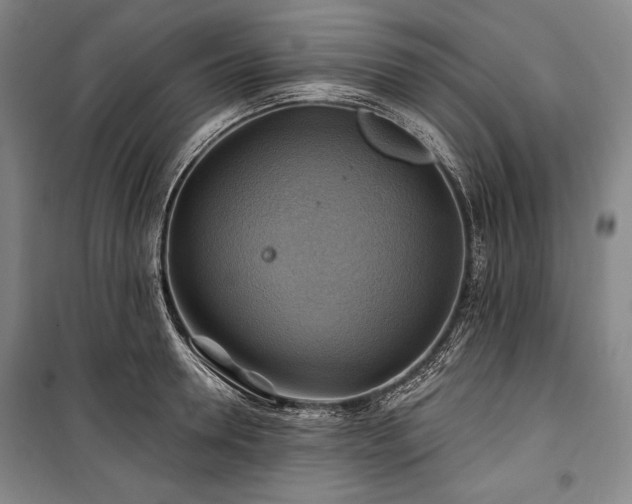X0000101160946200806271006