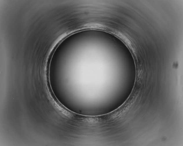 X0000101160947200806271006