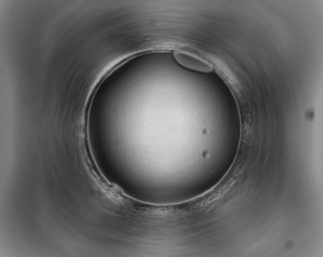 X0000101160948200806271006