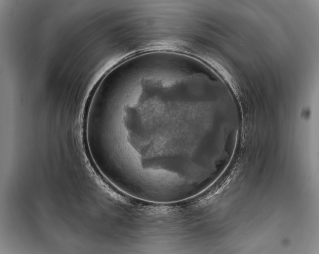 X0000101160949200806271006