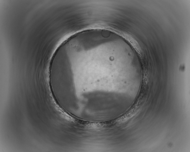 X0000101160950200806271006
