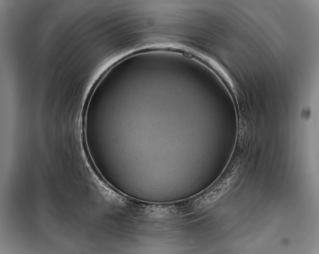 X0000101160951200806271006