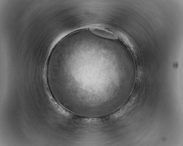 X0000101160952200806271006