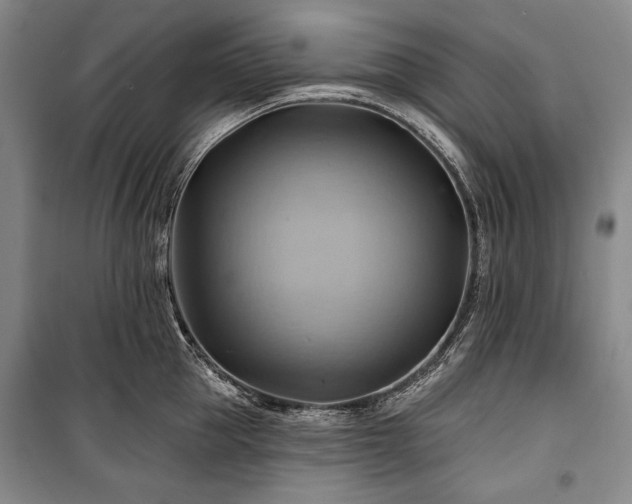 X0000101160953200806271006