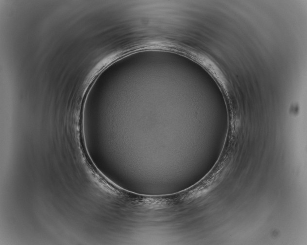 X0000101160954200806271006