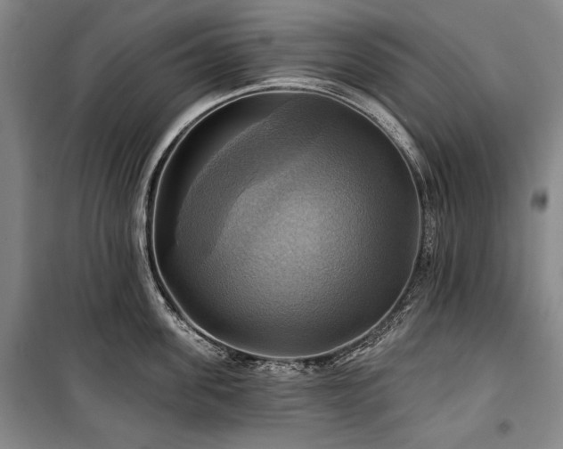 X0000101160955200806271006