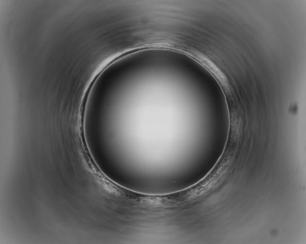 X0000101160956200806271006