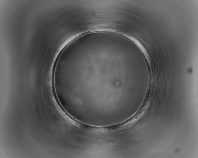 X0000101160957200806271006