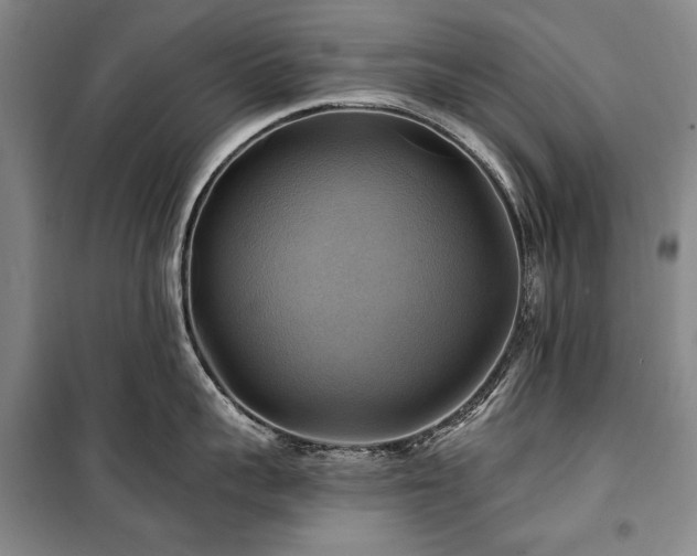 X0000101160959200806271006