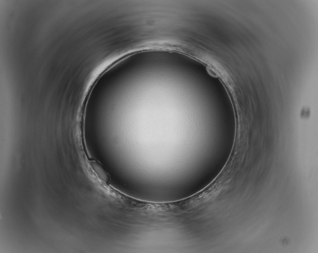 X0000101160960200806271006