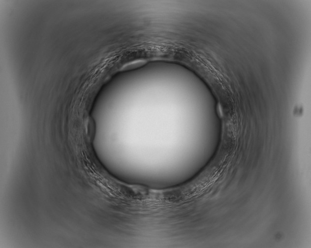 X0000101160961200806271005