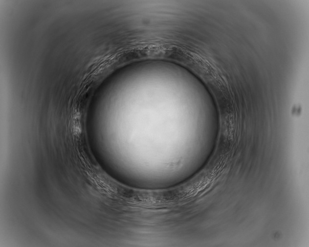X0000101160962200806271005