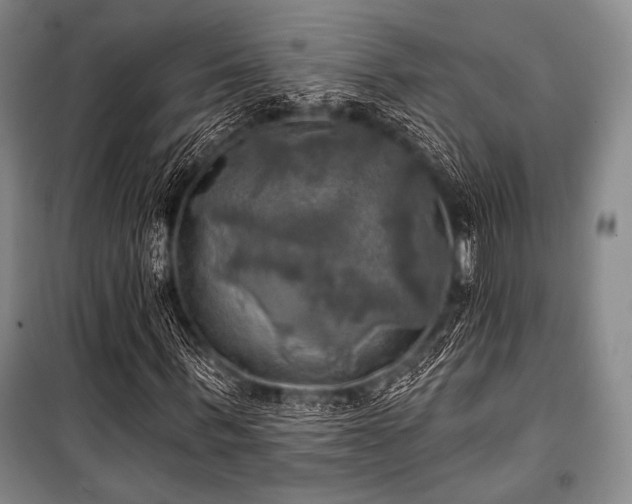 X0000101160963200806271005