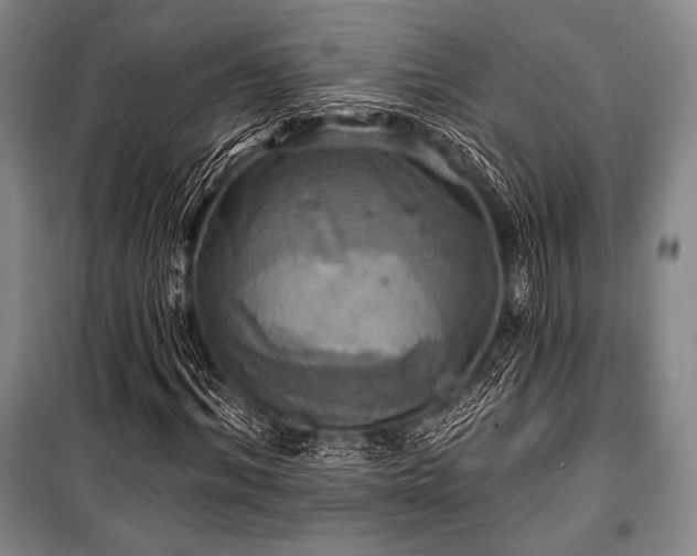 X0000101160964200806271005