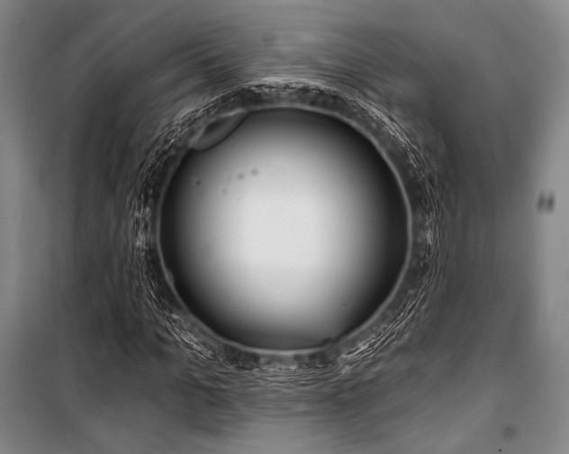 X0000101160965200806271005