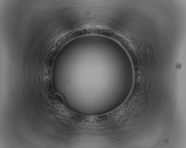X0000101160966200806271005