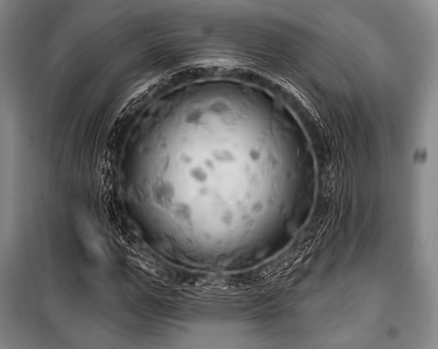 X0000101160967200806271005