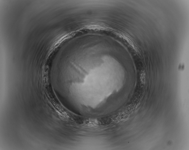 X0000101160968200806271005