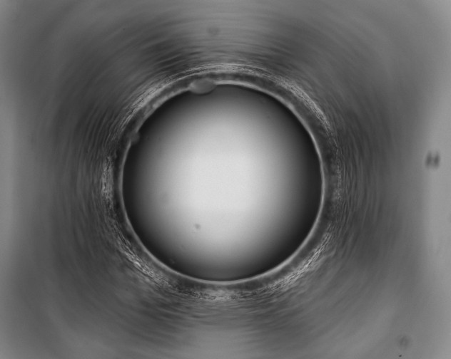 X0000101160969200806271005