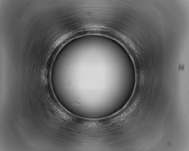 X0000101160970200806271005