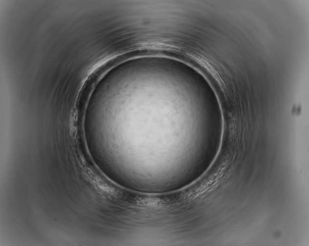 X0000101160971200806271005