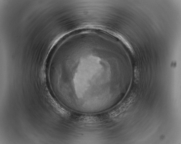X0000101160972200806271005