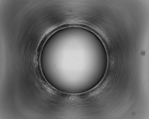 X0000101160974200806271005