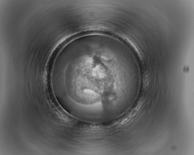 X0000101160975200806271005