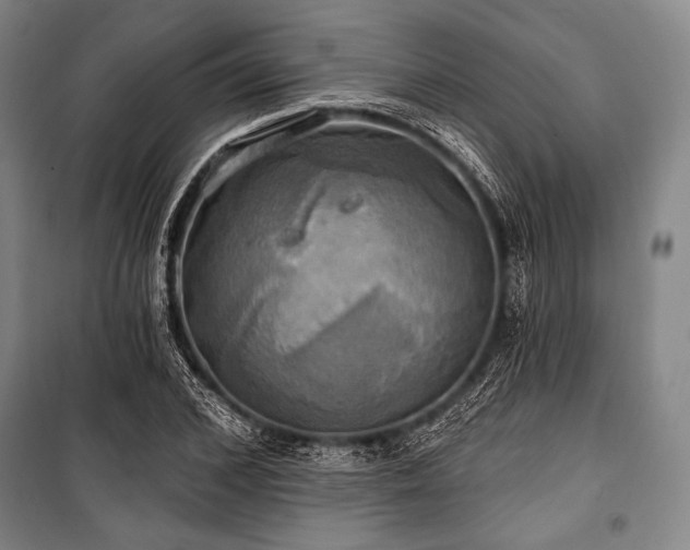 X0000101160976200806271005