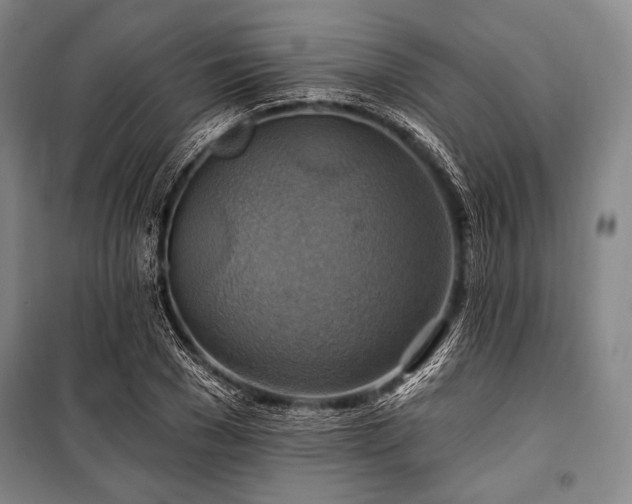 X0000101160977200806271005