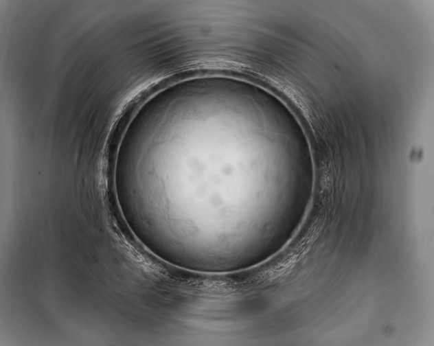X0000101160979200806271005