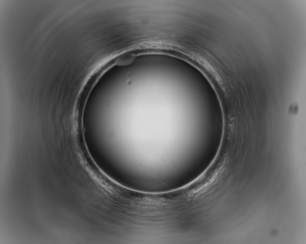 X0000101160981200806271005
