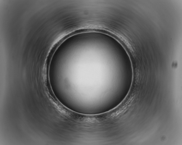 X0000101160982200806271005