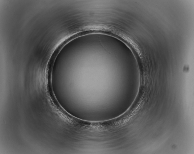 X0000101160983200806271005