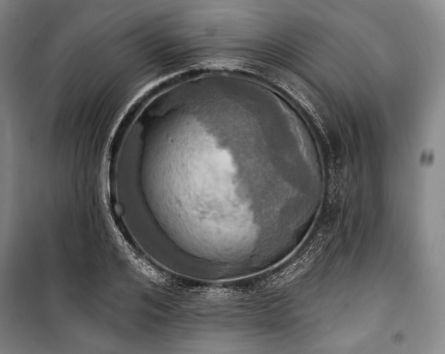X0000101160984200806271005