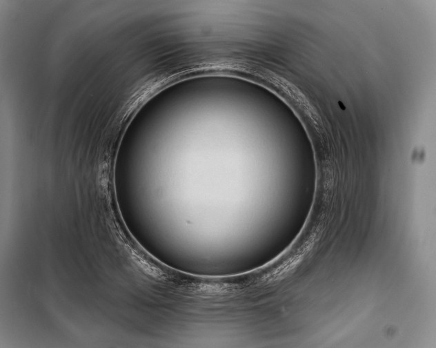 X0000101160985200806271005