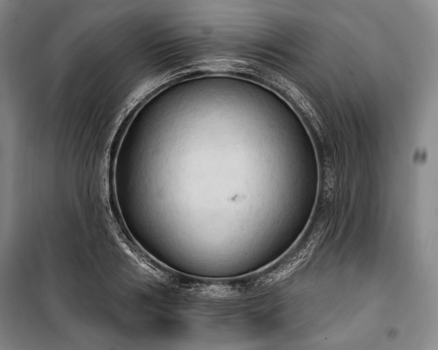 X0000101160986200806271005