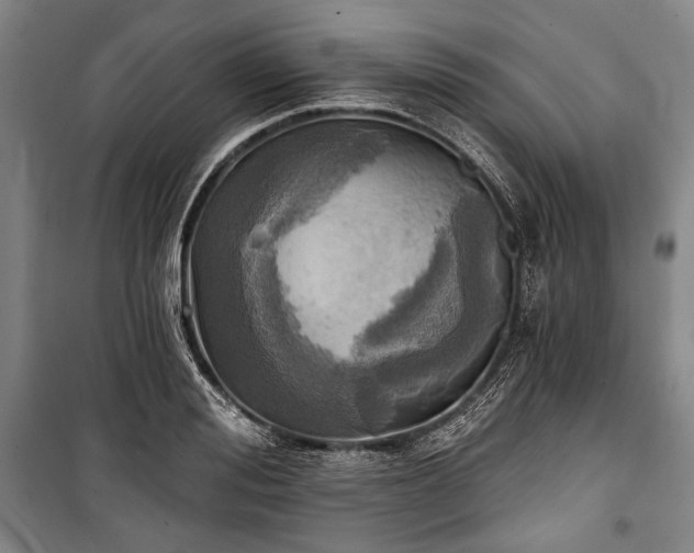 X0000101160988200806271005