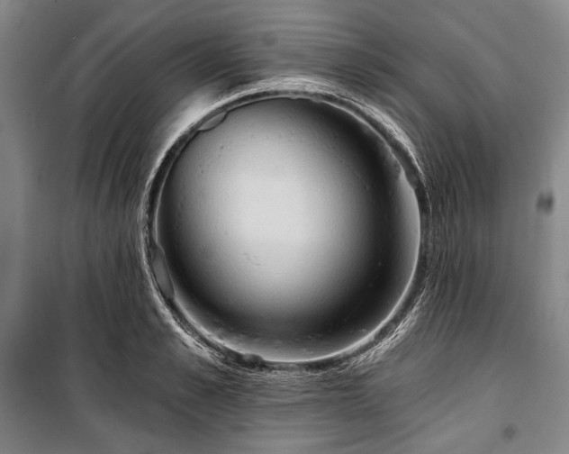 X0000101160989200806271005