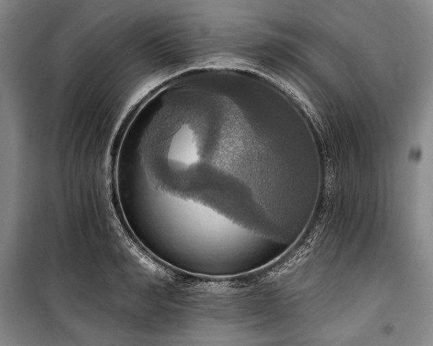X0000101160990200806271005